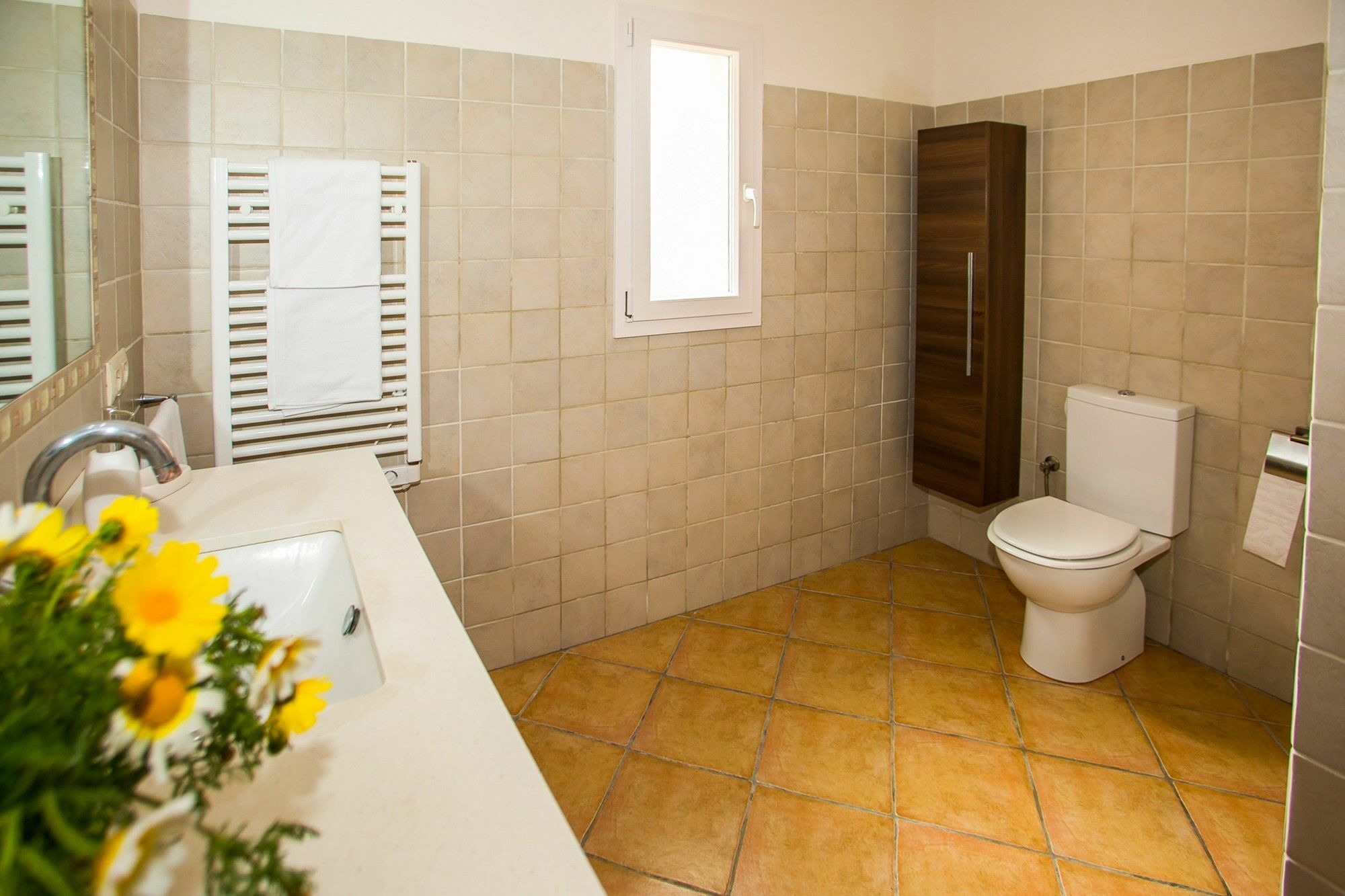 Ses Cases Noves Villa Felanitx