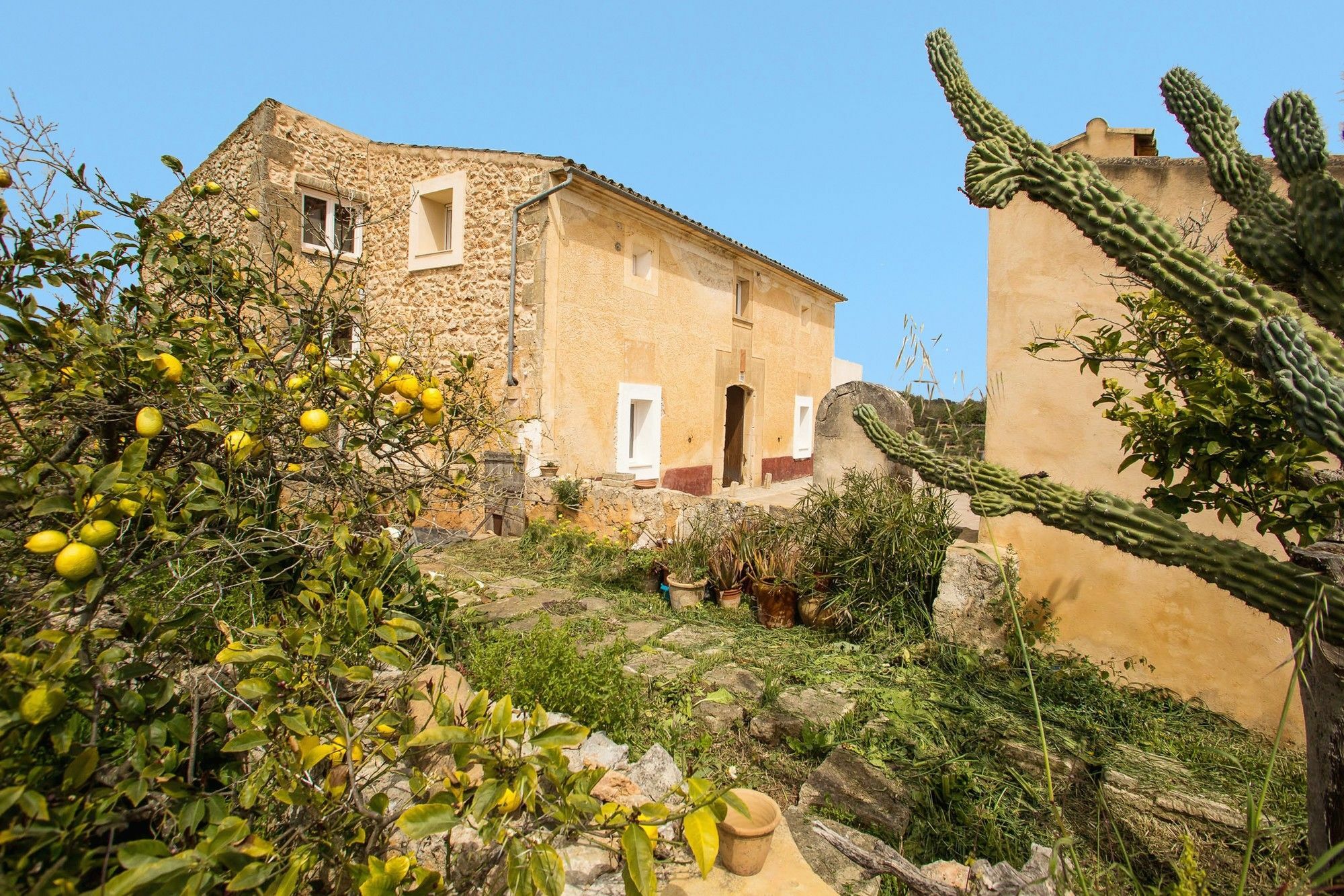 Villa Ses Cases Noves